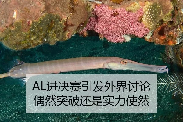 jin-jue-sai-yin-fa-wai-jie-tao-lun-ou-ran-tu-po-hai-shi-shi-li-shi-ran-2-108.jpg